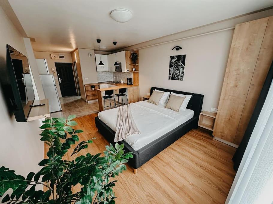 Agoll Victoria - Self Checkin Appartement Resita Buitenkant foto
