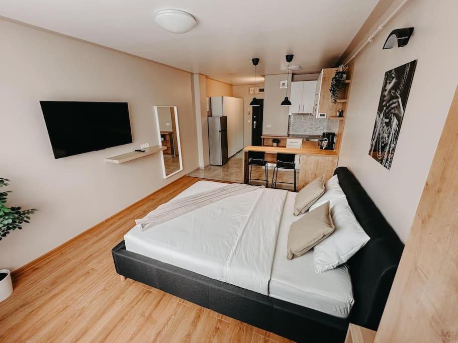 Agoll Victoria - Self Checkin Appartement Resita Buitenkant foto
